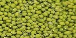 Mung Beans