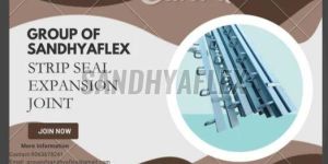 Strip Seal Expansion Joint