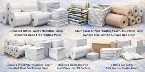 Newsprint Paper Roll