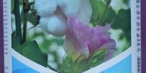 Sayen Spinosad 45% SC Biological Insecticide