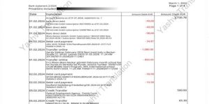 German Bank Statement Translation