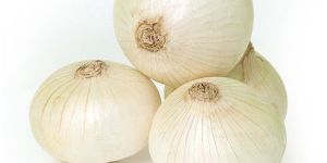 A Grade Fresh White Onion