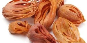 dried nutmeg mace flower