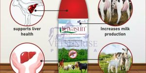 Herbal Livasun Liver Tonic