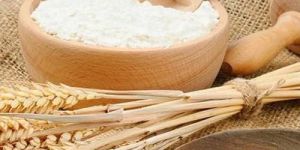 Bakery Wheat Flour