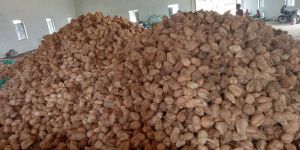 Brown Coconut