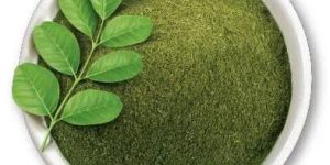 Organic Moringa Powder