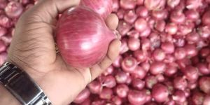 Onions