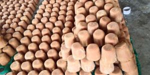 Jaggery Block