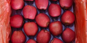 a Grade Red Apple