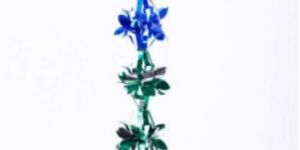 Tinsel Film Lotus Chain