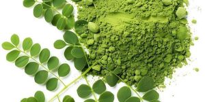 Premium Moringa Leaf Powder