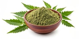 Premium Neem Leaf Powder
