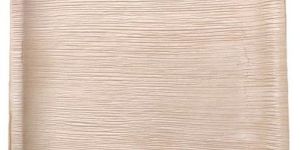 10 Inch Square Areca Leaf Plate