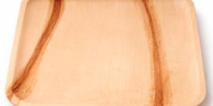 12 Inch Square Areca Leaf Plate