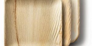 8 Inch Square Areca Leaf Plate