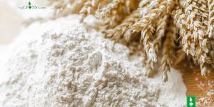 Whole Wheat Flour