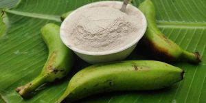 Dried Green Banana Powder