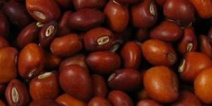 Dried Red Gram