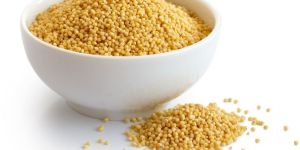 Foxtail Millet Seed
