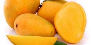 Fresh Yellow Mango