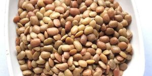 Horse Gram
