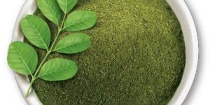 Organic Moringa Powder