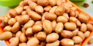 Raw Groundnut Seeds