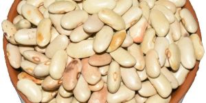 White Dry Field Beans