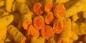 Turmeric Finger