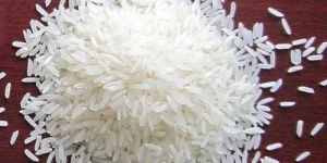 IR-64 Rice
