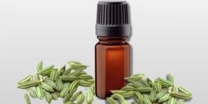 Fennel Seed Oil