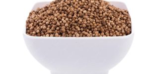 Dried Coriander Seeds