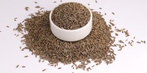 Dried Cumin Seeds