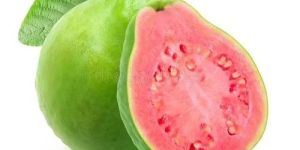 A Grade Fresh Red Guava