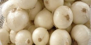 Fresh White Onion