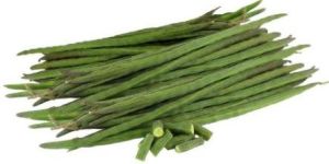 Fresh Drumsticks