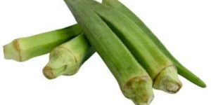Fresh Okra