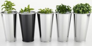 Stainless Steel Indoor Planter Pot