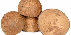 Broken Coconut Shell