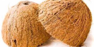 Dehusked Coconut Shell