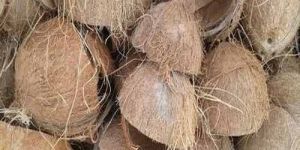 Raw Coconut Shell