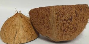 Semi Husked Coconut Shell