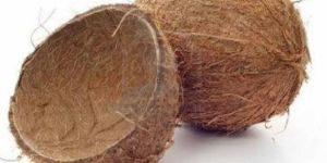 Sun Dried Coconut Shell