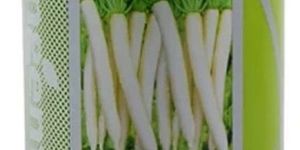 Syngenta Ivory White Hybrid Radish Seed
