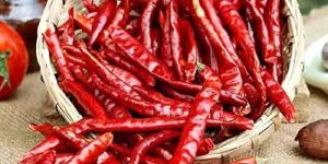 Stemless Dried Red Chilli