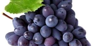 Seedless Black Grapes