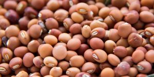 Whole Toor Dal