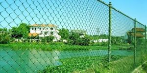PVC Coated Chain Link Fence