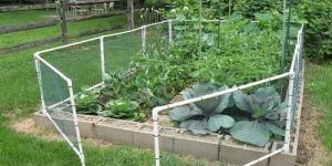 PVC Garden Fencing